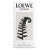 LOEWE - Esencia Elixir EDP - 50ml - 8426017076234