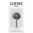 LOEWE - Solo Vulcan EDP - 100ml - 8426017080620