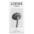 LOEWE - Earth Elixir EDP - 50ml - 8426017080675