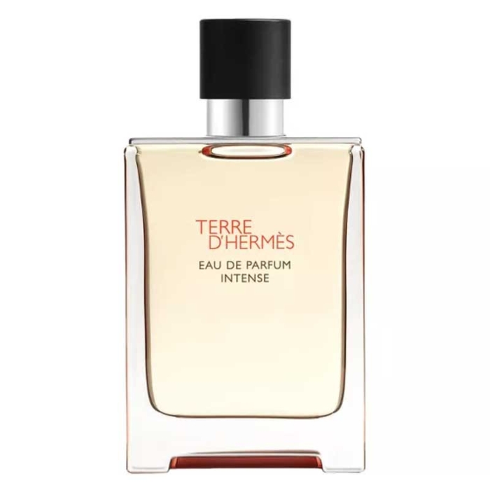 HERMÈS - Terre D'Hermès EDP Intense - 100ml - 3346130424116